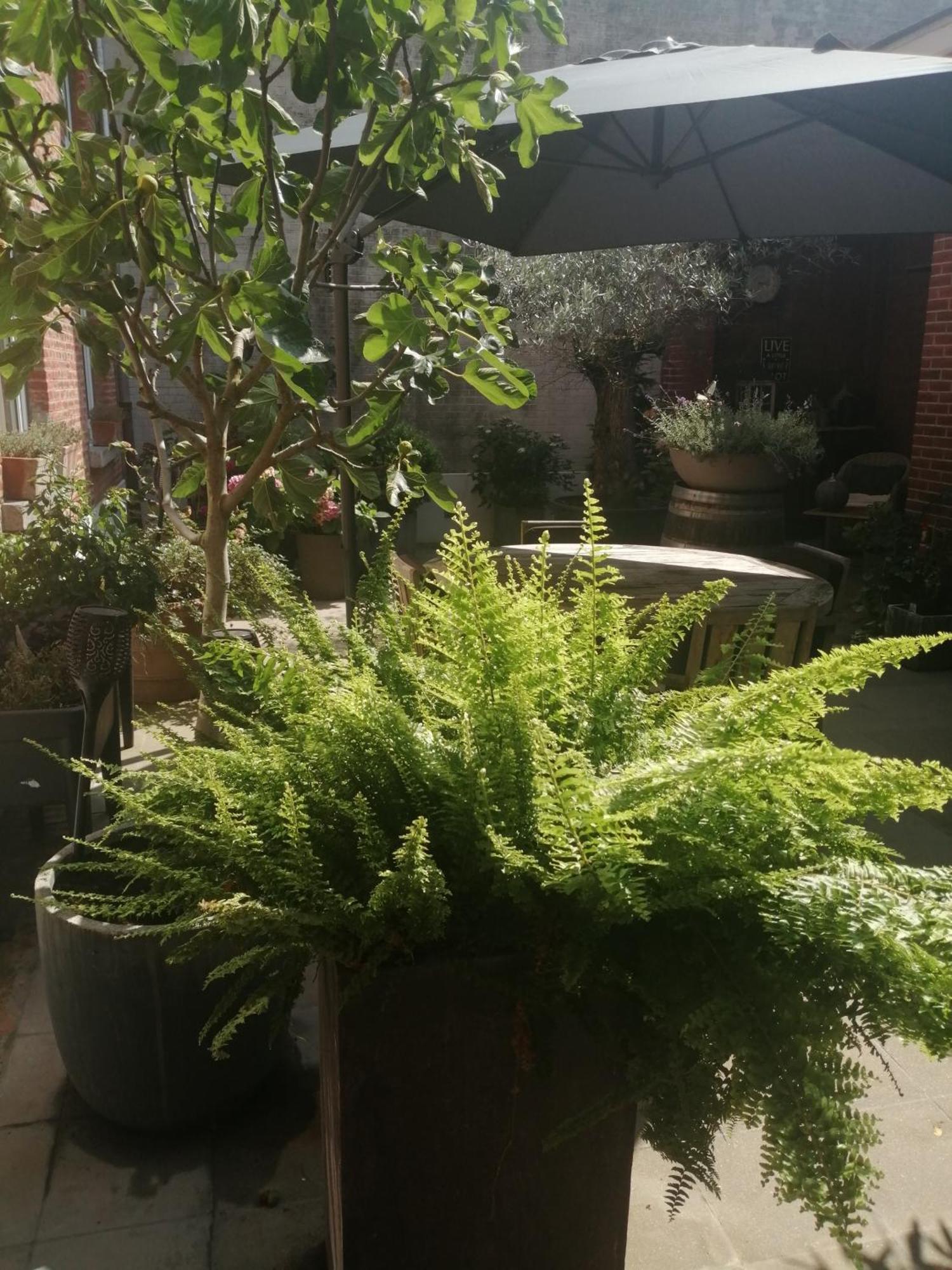 Casa Della Nonna Bed & Breakfast *